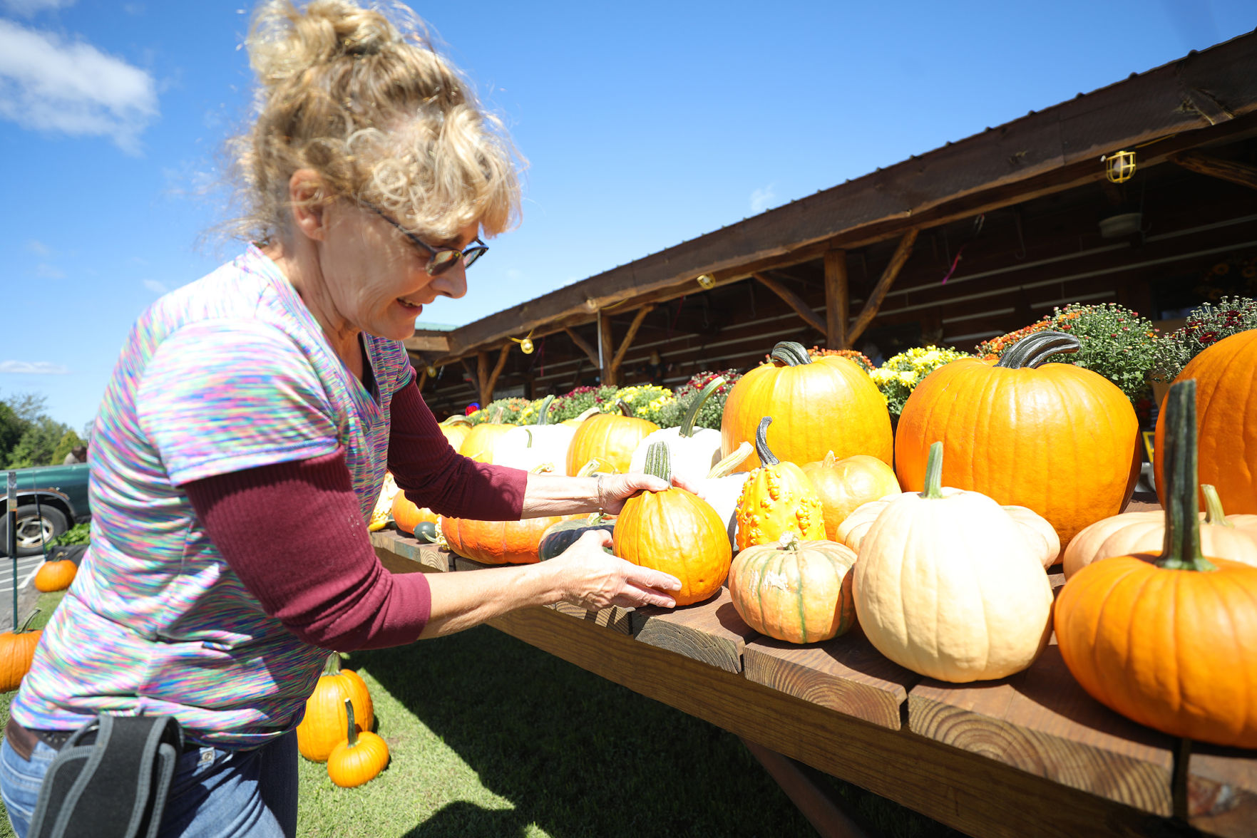 Gourd Season